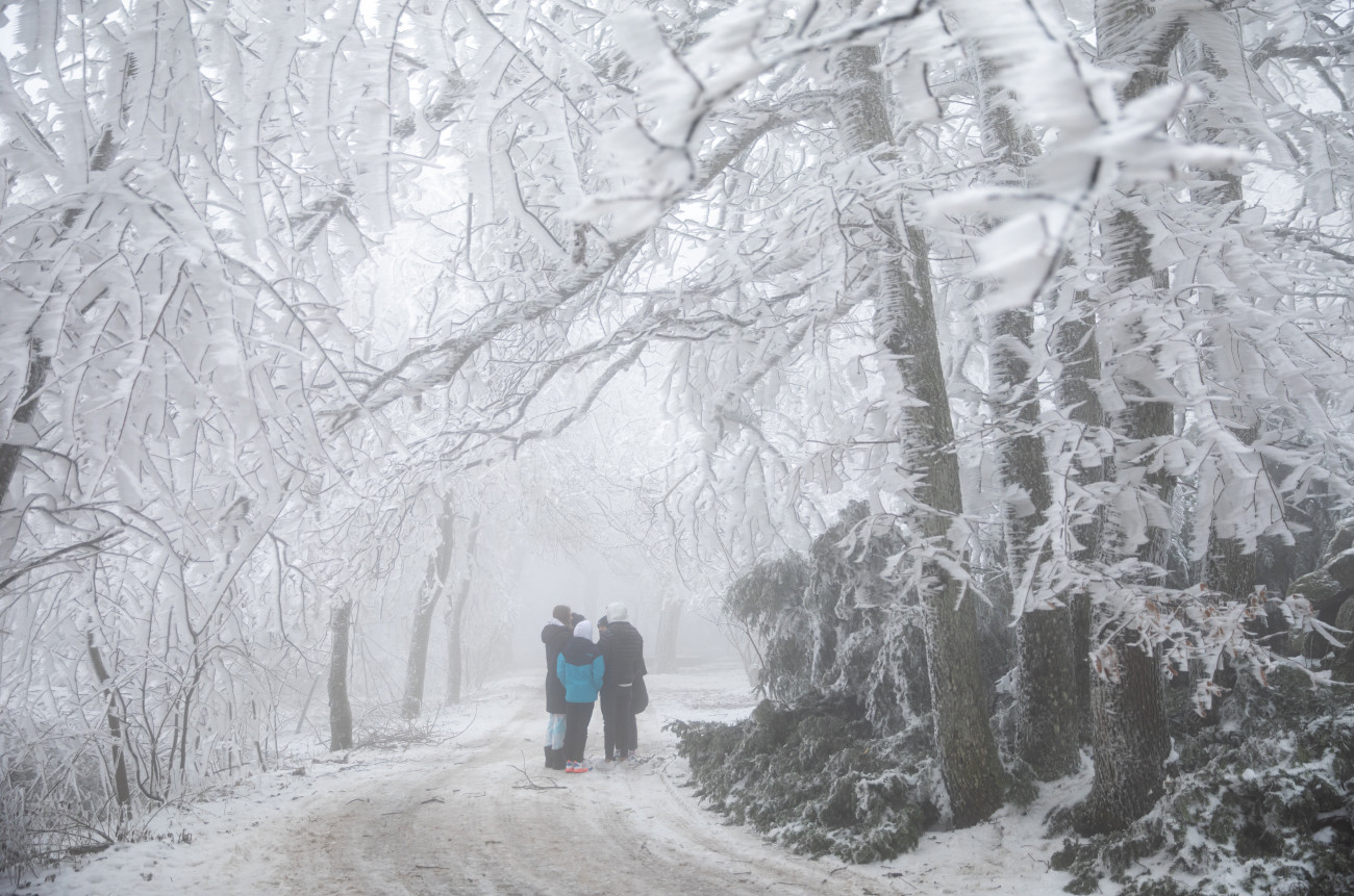 Dobogókő, 2020. december 22.
Jéggel borított fák között sétálnak kirándulók Dobogókőn 2020. december 22-én.
MTI/Mohai Balázs