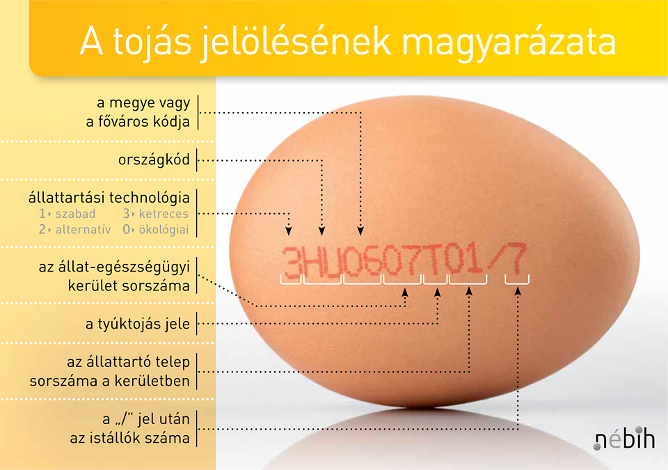 Jó tudni, mit jelölnek a számozások a tojáson! (Forrás:NÉBIH)
