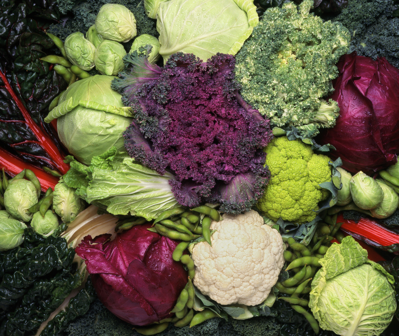Tipikus téli zöldségek a káposztafélék
