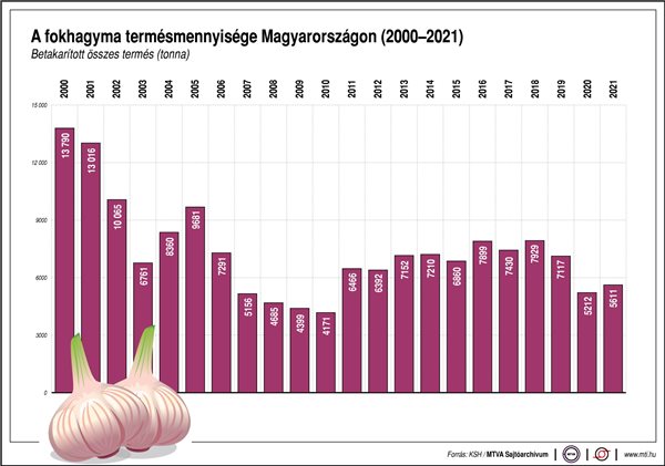 A fokhagyma termésmennyisége Magyarországon, 2000-2021(MTI)