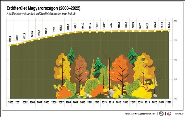 Erdőterület Magyarországon, 2000-2022
